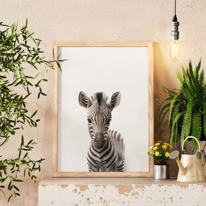 Zebra Minimalist Wall Art, Baby Zebra Nursery Decor, Boy Nursery Decor, Safari Baby Shower, Baby Boy Gift, Kids Wall Art, Living Room Art